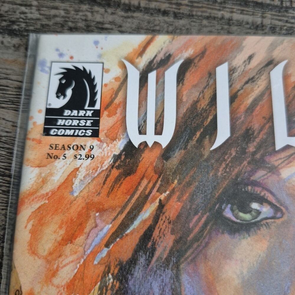 Buffy The Vampire Slayer Comic Book Willow Wonderland #5 Season 9 Joss Whedon - Picture 3 of 6